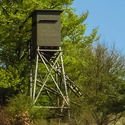 Vom Jagdaufseher zum Wildtierschützer